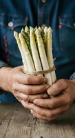 Fresh white asparagus bunch tied with twine, held by male farmer hands wearing blue work shirt. Suitable for organic produce, farm-to-table, and culinary content.