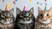 Three adorable cats wearing colorful party hats looking up with wide eyes and excited expressions against light background, celebrating birthday or special occasion.