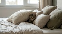 Tabby cat sitting among beige and cream decorative pillows on a bed with natural window light, suitable for home decor and pet lifestyle content.