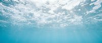 Underwater view of clear blue ocean with sunlight rays and bubbles on the surface, creating a serene aquatic background for travel or nature.