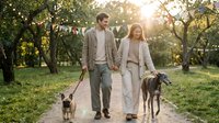 Young couple walking dogs in sunny park with string lights, romantic outdoor lifestyle moment during golden hour sunset, pet ownership and relationship goals.