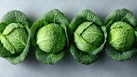 Fresh savoy cabbage heads arranged in row on gray background, showing detailed texture of wrinkled green leaves, organic produce for healthy eating and cooking.