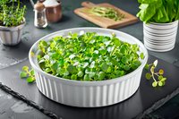 Fresh microgreens growing in white ceramic bowl on dark slate surface, with herbs and kitchen accessories in background, showing vibrant green sprouts.