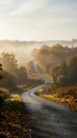 Winding country road through autumn landscape with golden morning light and misty atmosphere creating peaceful rural scenery for travel and nature concepts.