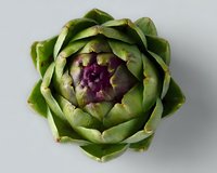 Fresh artichoke head with purple center and green leaves photographed from above on light gray background, isolated food ingredient for cooking and design.