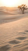 Golden sand dunes with rippled texture and lone tree silhouette during warm sunset light creating peaceful desert landscape atmosphere.
