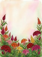 Watercolor floral border with celosia and marigold blooms in red, orange, pink and yellow tones on a soft pastel background with copy space.