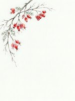 Watercolor rowan berries branch with delicate foliage on isolated white background, ready for greeting cards, invitations, and seasonal design projects.