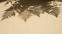 Tropical palm leaf shadows cast on beige wall creating natural organic patterns for summer vacation and relaxation themed designs.