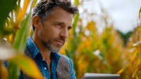 Mature Caucasian male farmer with gray hair and beard checking digital tablet while standing in corn field during harvest season at golden sunset hour.