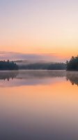 Serene lake at dawn with misty forest shoreline reflecting in calm water under soft pastel sky. Ideal for nature, travel, and wellness projects.