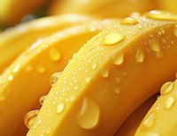 Macro shot of fresh yellow tulip petals with water droplets, creating a vibrant natural texture for spring seasonal designs.