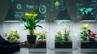 Smart agriculture technology with digital interface monitoring plant growth in modern greenhouse laboratory setting for sustainable farming innovation.