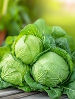 Fresh green cabbage heads with visible leaf texture in garden setting, ideal for organic produce, healthy eating, agriculture, and farm-to-table culinary content.