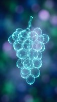 Glowing wireframe grapes cluster with luminescent cyan and purple spheres connected by light lines, isolated on blurred bokeh background for digital art and design projects.