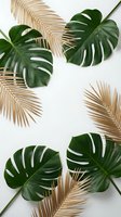 Tropical monstera leaves and golden palm fronds arranged on white background for summer decor and botanical design projects.