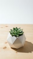 Succulent plant in geometric white ceramic pot on wooden surface with neutral background, ideal for home decor and interior design projects.