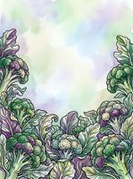 Watercolor illustration of fresh broccoli and cauliflower vegetables arranged as a decorative border frame with pastel purple, green, and yellow tones on isolated white background.
