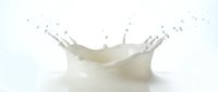 Milk splash crown with droplets on white background isolated for dairy product advertising and beverage marketing campaigns.