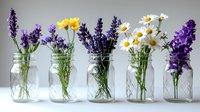 Fresh spring flowers arranged in glass mason jars, featuring purple lavender stems, yellow daffodils and white daisies against neutral background. Minimalist floral decor.