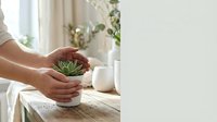 Caucasian woman hands holding a small succulent in a white pot on a rustic wooden table in a bright, cozy home interior.