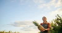 Woman farmer holding fresh pineapple in agricultural field at sunset, suitable for farming, agriculture, and organic produce marketing.