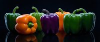 Colorful bell peppers in orange, green, and purple arranged on a reflective dark surface, showcasing fresh vibrant vegetables for food and culinary use.