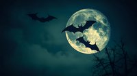 Silhouettes of flying bats against bright full moon in dark turquoise night sky with bare tree branches creating spooky Halloween atmosphere.