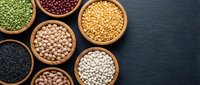 Assorted legumes and beans in wooden bowls on dark slate background. Healthy protein sources including lentils, chickpeas and various pulses for cooking.