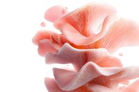 Pink oyster mushroom macro photography showing delicate gills and layered structure against white background, organic food ingredient for cooking.
