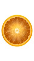 Fresh orange slice isolated on white background, showing vibrant citrus fruit cross-section for food, beverage, and wellness design projects.