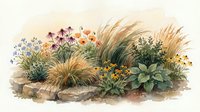Watercolor garden border with ornamental grasses, wildflowers and stone edging for landscaping design projects and botanical illustrations.