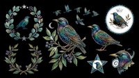 Starling birds with foliage wreaths and flying silhouettes, isolated on transparent background. Ready for t-shirt design, clipart, stickers, sublimation, and print-on-demand projects.