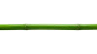 Green bamboo stem segment isolated on white background, ready for design projects, nature graphics, and botanical illustrations.