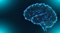 Digital brain with glowing blue circuit patterns and neural networks on dark background for technology and artificial intelligence concepts.