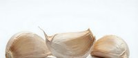 Garlic cloves with papery skin isolated on white background, ready for culinary and food design projects.