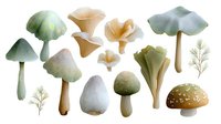 Watercolor mushrooms collection in soft earth tones and pastel colors on white background, forest fungi illustrations for nature designs and botanical art.