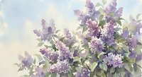 Watercolor painting of blooming purple lilac flowers with green leaves against soft blue sky background for spring decor and botanical art projects.
