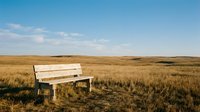 Abandoned white wooden bench sitting alone in vast golden grassland under clear blue sky, conveying solitude and isolation in nature.