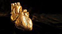 Golden anatomical heart model with detailed arteries and veins on dark surface for medical education, healthcare concepts, and cardiology presentations.