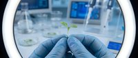 Scientist hands in blue gloves holding green plant seedling in modern laboratory for biotechnology research and environmental science experiments.