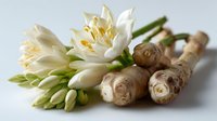 Fresh ginger root with blooming white turmeric flowers on white background, showcasing aromatic spice ingredients for cooking, wellness, and natural remedies.