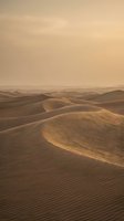 Golden sand dunes with rippled textures stretching across desert landscape under warm sunset light creating serene atmospheric scene for travel content.