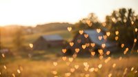 Golden sunset countryside landscape with heart-shaped bokeh lights creating romantic atmosphere over rural farmland and trees during magic hour.