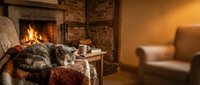 Cozy tabby cat sleeping on knitted blanket by warm fireplace in rustic living room with brick walls and comfortable armchair creating peaceful home atmosphere.