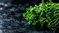 Fresh green microgreens on dark textured background with copy space. Natural organic sprouts macro photography for healthy eating and restaurant menu.
