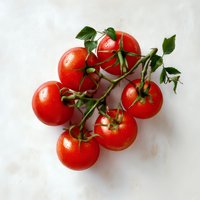 Fresh ripe red tomatoes on vine with water drops and green leaves against white background, natural organic produce for healthy cooking and food design.