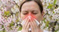 Woman sneezing into tissue during spring allergy season with blooming cherry blossoms in background, seasonal hay fever and pollen allergies concept.