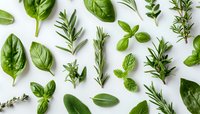 Fresh green culinary herbs and leaves pattern on white background, including basil, rosemary, sage and mint, arranged in rows for cooking and garnish purposes.