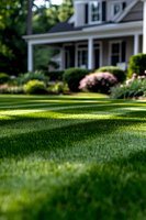 Manicured green lawn in front of luxury suburban house with white columns and flowering garden beds, soft focus background creates dreamy summer atmosphere.